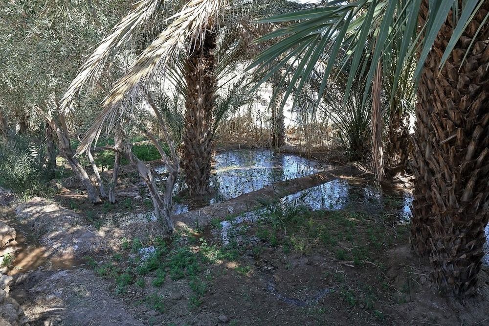Kasbah Tissint Ξενοδοχείο Εξωτερικό φωτογραφία