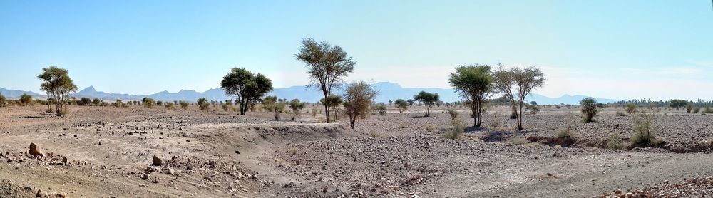 Kasbah Tissint Ξενοδοχείο Εξωτερικό φωτογραφία